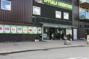 Uppsala Orienthus image