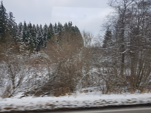 Tierheim des Tierschutzverein Löffingen und Umgebung e.V unter Löffingen, 