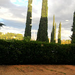 Photo n°1 de l'avis de Alejandra.n fait le 30/12/2018 à 15:11 sur le  Conference Florentia Hotel à Florence