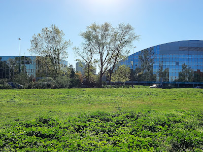 Campus du Lac à Bordeaux