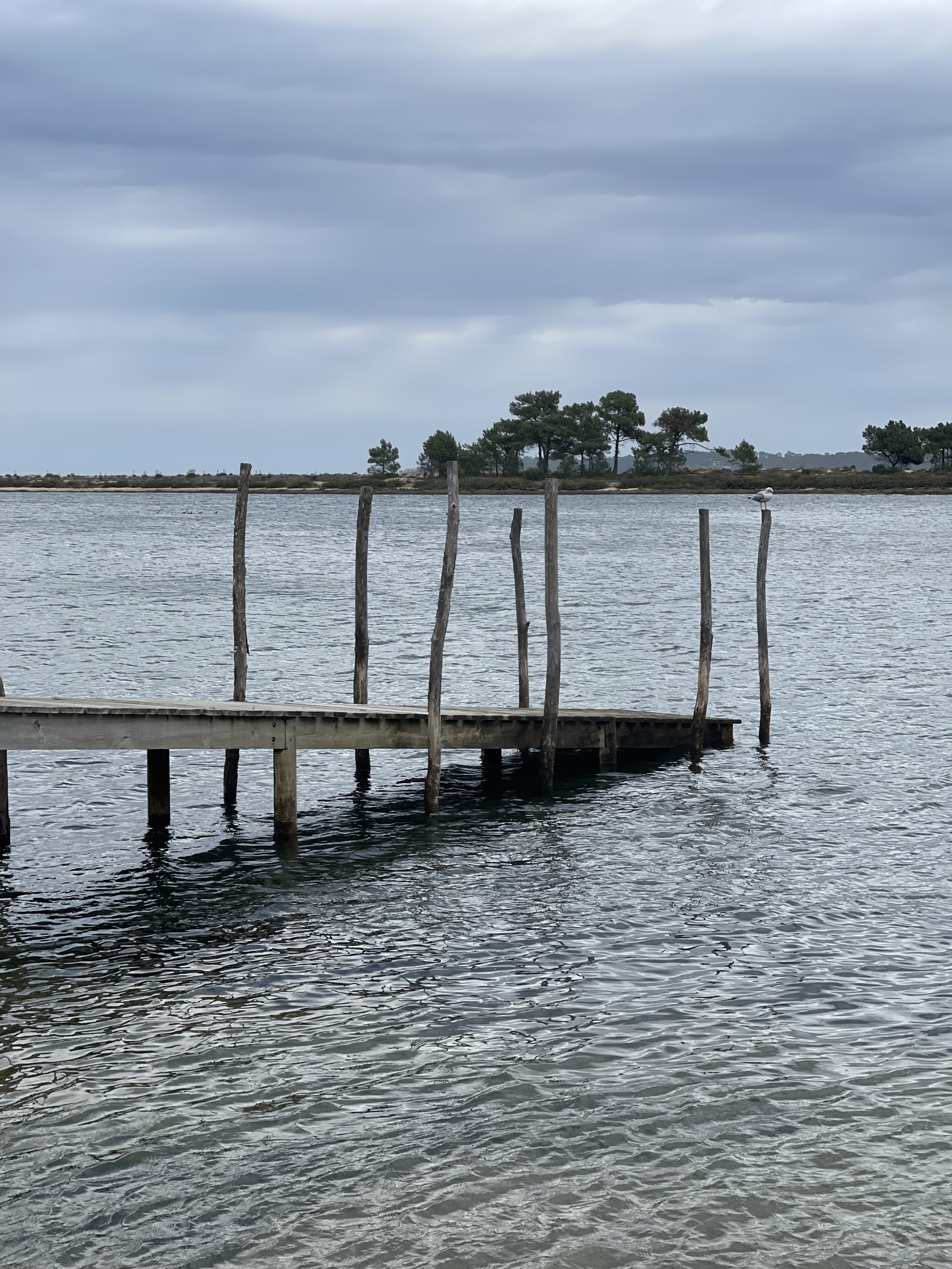 Photo n° 4 de l'avis de Mathieu.i fait le 03/11/2022 à 21:33