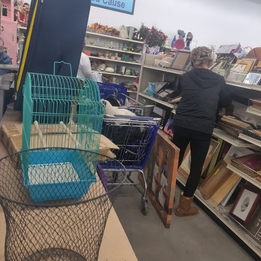 Thrift Store «Goodwill», reviews and photos