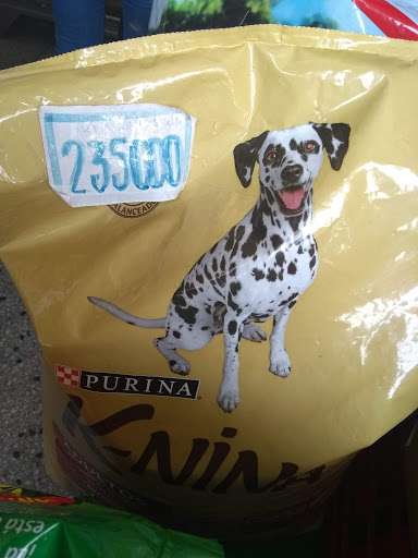 Tiendas para comprar perros en Maracay