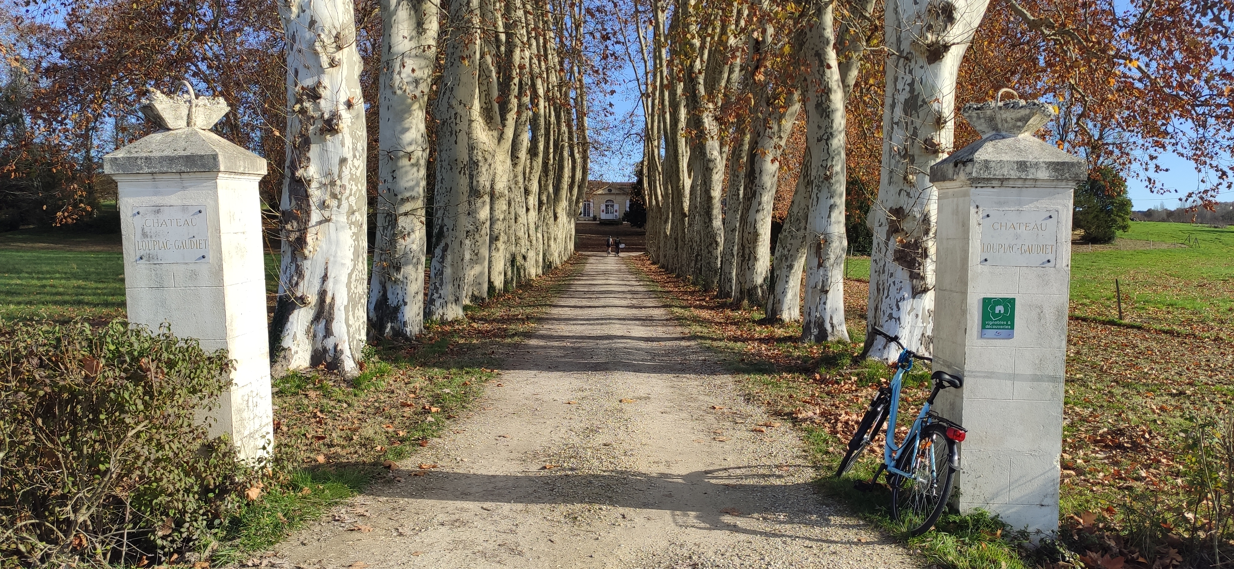 Photo n° 1 de l'avis de Pierre-Henry.O fait le 30/11/2023 à 05:03