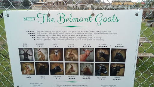 Farm «The Belmont Goats», reviews and photos, 9330 SE Harold St, Portland, OR 97266, USA