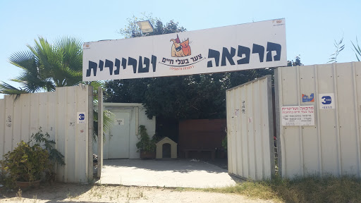 מרפאה וטרינרית צער בעלי חיים רחובות