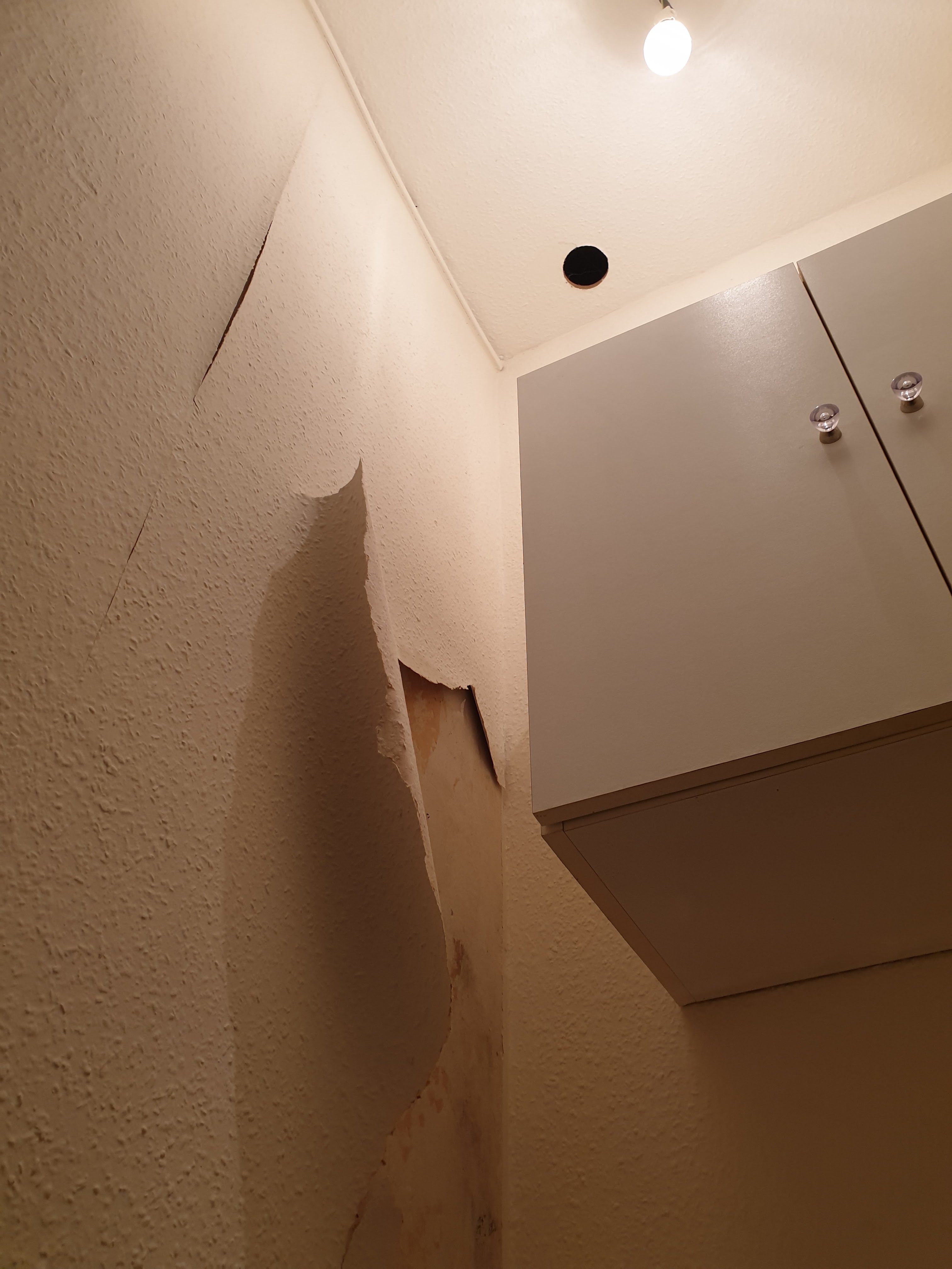Photo n° 3 de l'avis de Matthis.A fait le 20/07/2022 à 16:01