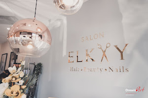 Salon Elkay