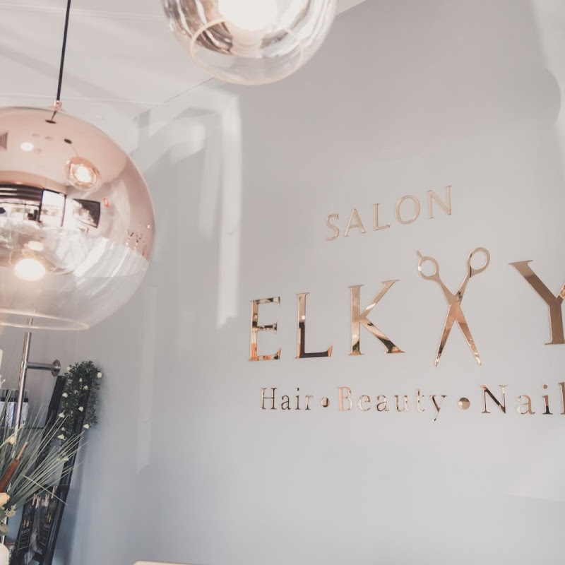 Salon Elkay