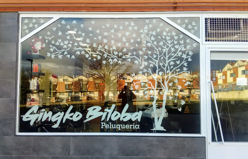 Gingko Biloba en Arroyo de laEncomienda, Valladolid