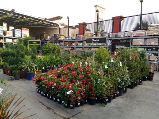 Garden Center at The Home Depot