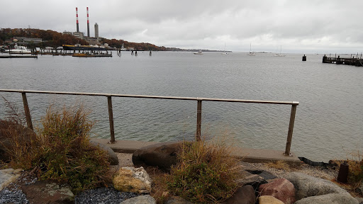 Coffee Shop «Starbucks», reviews and photos, 201 Main St C, Port Jefferson, NY 11777, USA