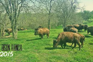 Boss Bison Ranch image