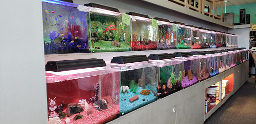 Tropical Fish Store «Trop Aquarium», reviews and photos, 3125 E Tropicana Ave D, Las Vegas, NV 89121, USA