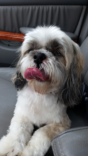 Pet Supply Store «PetSmart», reviews and photos, 625 W Crossville Rd, Roswell, GA 30075, USA