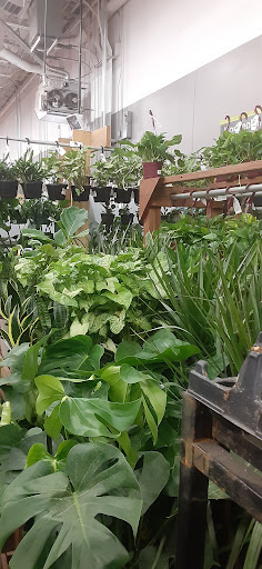 Home Improvement Store «The Home Depot», reviews and photos, 935 Fairmount Ave, Jamestown, NY 14701, USA