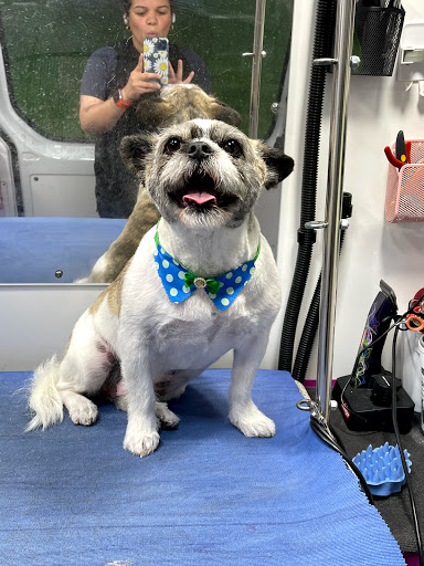 A Purrfect Pooch Spot