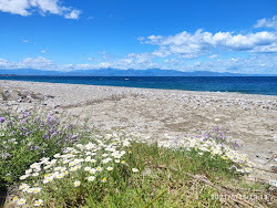 Foto di Lido Azzurro Murano Beach area servizi