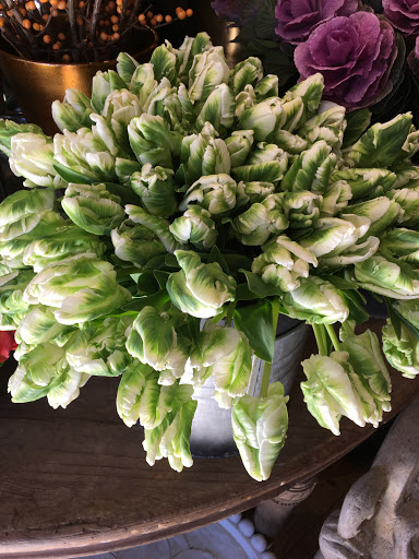 Florist «Bloom by Anuschka», reviews and photos, 2353 E 3rd Ave, Denver, CO 80206, USA