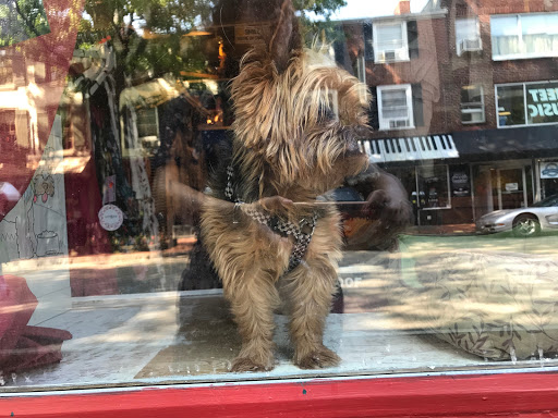 Clothing Store «May 23 Clothing and Accessories», reviews and photos, 117 W Gay St #134, West Chester, PA 19380, USA