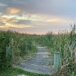 Wetlands Boardwalk