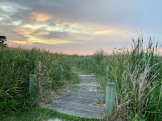Wetlands Boardwalk