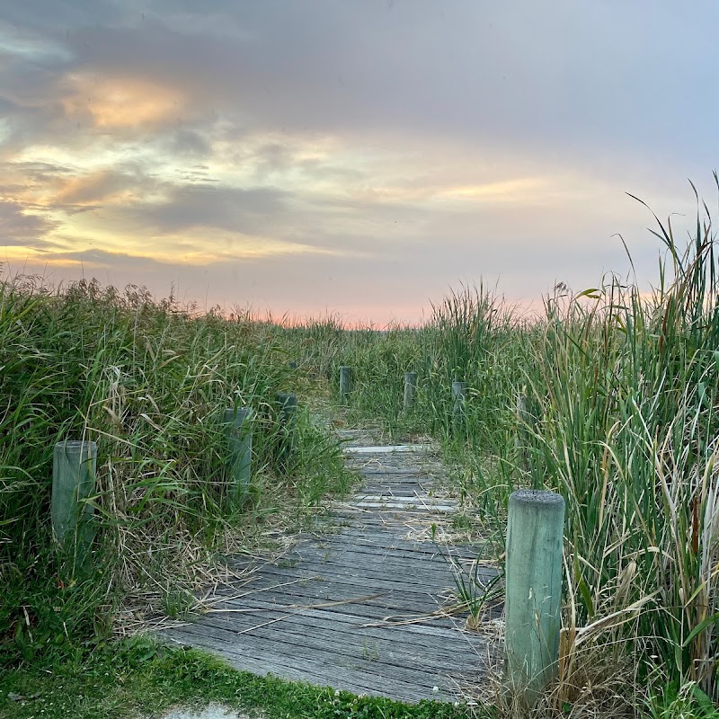 Wetlands Boardwalk