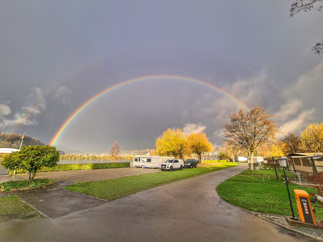 Kommentare und Rezensionen über RHEIN-CAMPING Waldshut