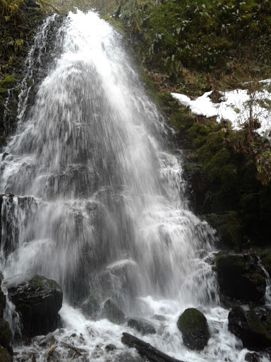 Tourist Attraction «Wahkeena Falls», reviews and photos, Wahkeena Trail #420, Corbett, OR 97019, USA