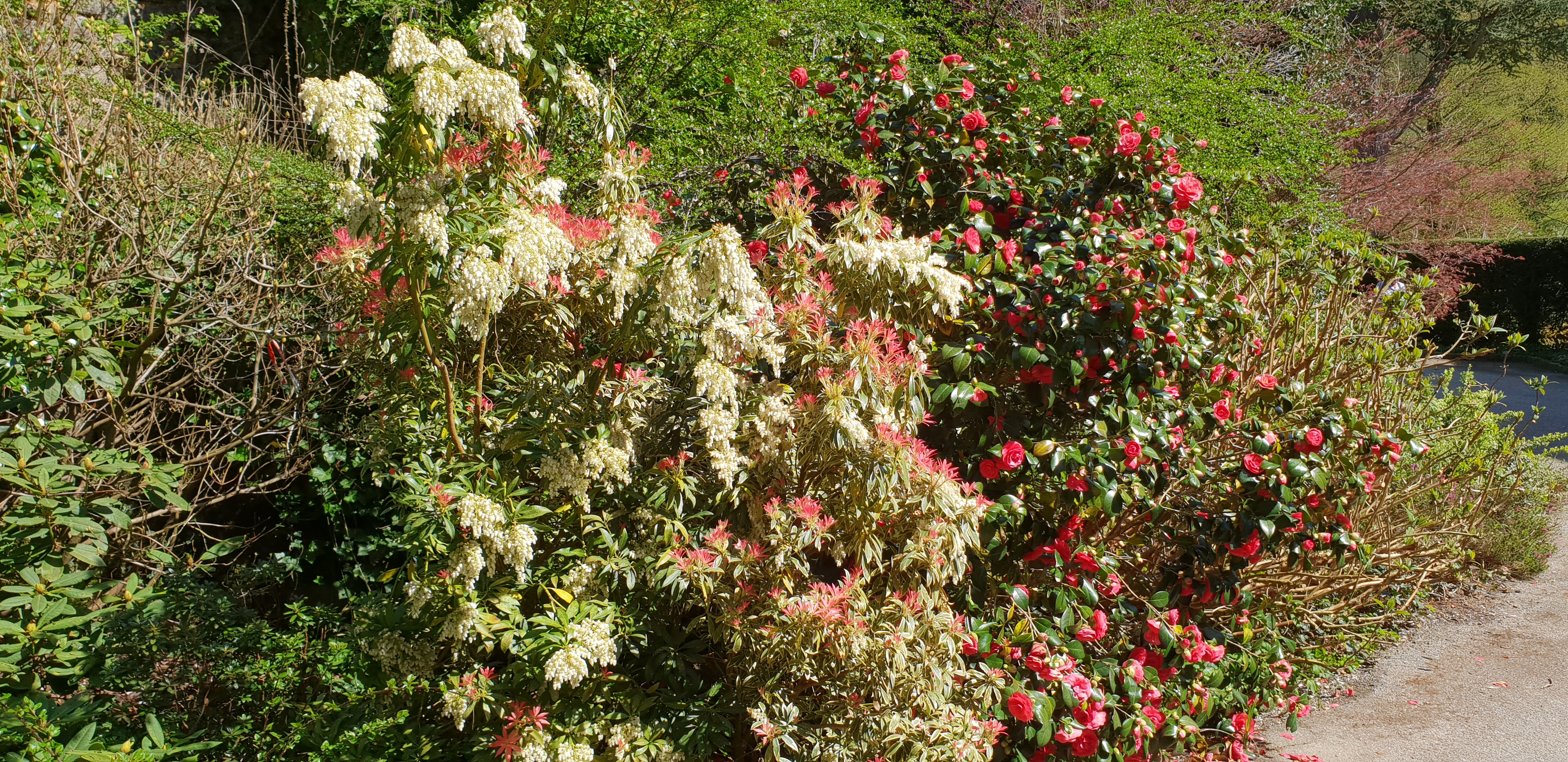 Photo n° 9 de l'avis de Dominique.A fait le 18/04/2018 à 14:35