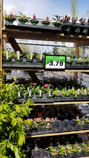 Grocery Store «Grocery Outlet Bargain Market», reviews and photos, 960 Roosevelt Ave, Enumclaw, WA 98022, USA