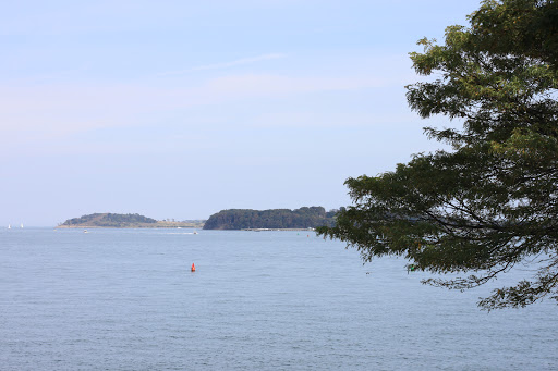 Library «John F. Kennedy Presidential Library and Museum», reviews and photos, Columbia Point, Boston, MA 02125, USA