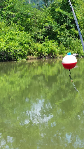 RV Park «Made In the Shade RV Park», reviews and photos, 6878 Granville Hwy, Granville, TN 38564, USA