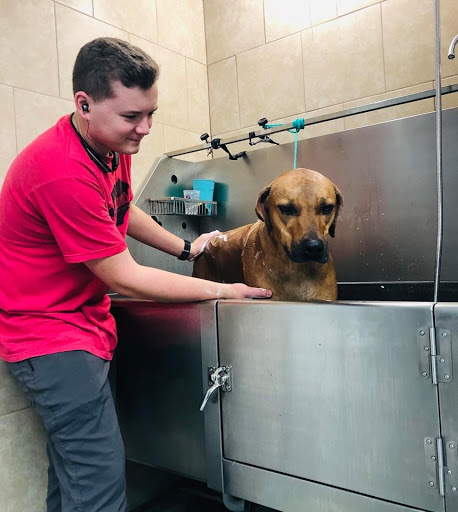 Pinehurst Animal Hospital and Dental Clinic image