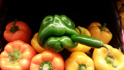 Supermarket «Price Chopper», reviews and photos, 251 Kennedy Dr, Putnam, CT 06260, USA