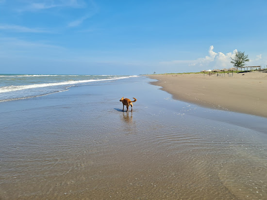 Playa Maracaibo