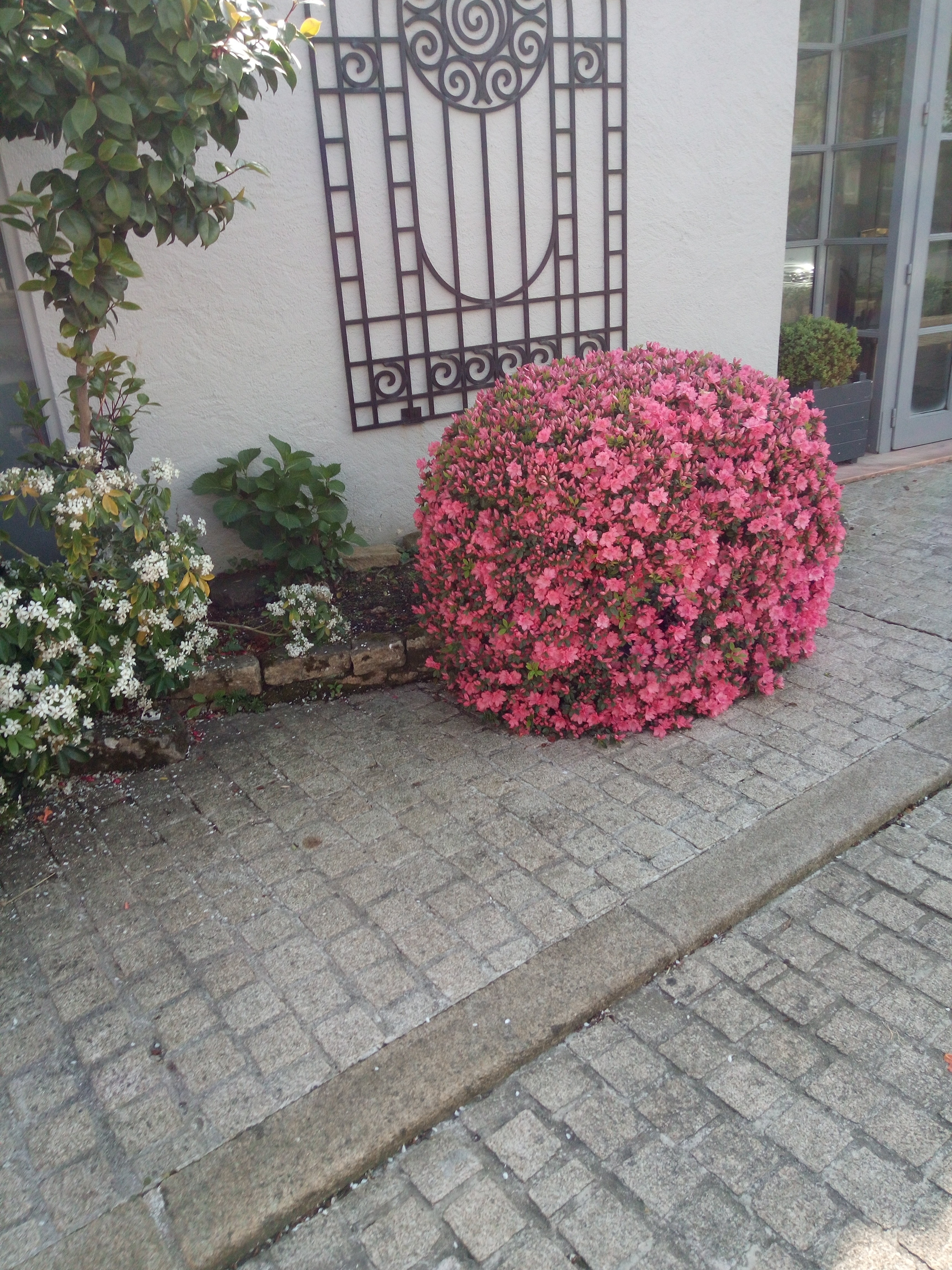 Photo n° 4 de l'avis de Dieter.a fait le 29/04/2019 à 20:24