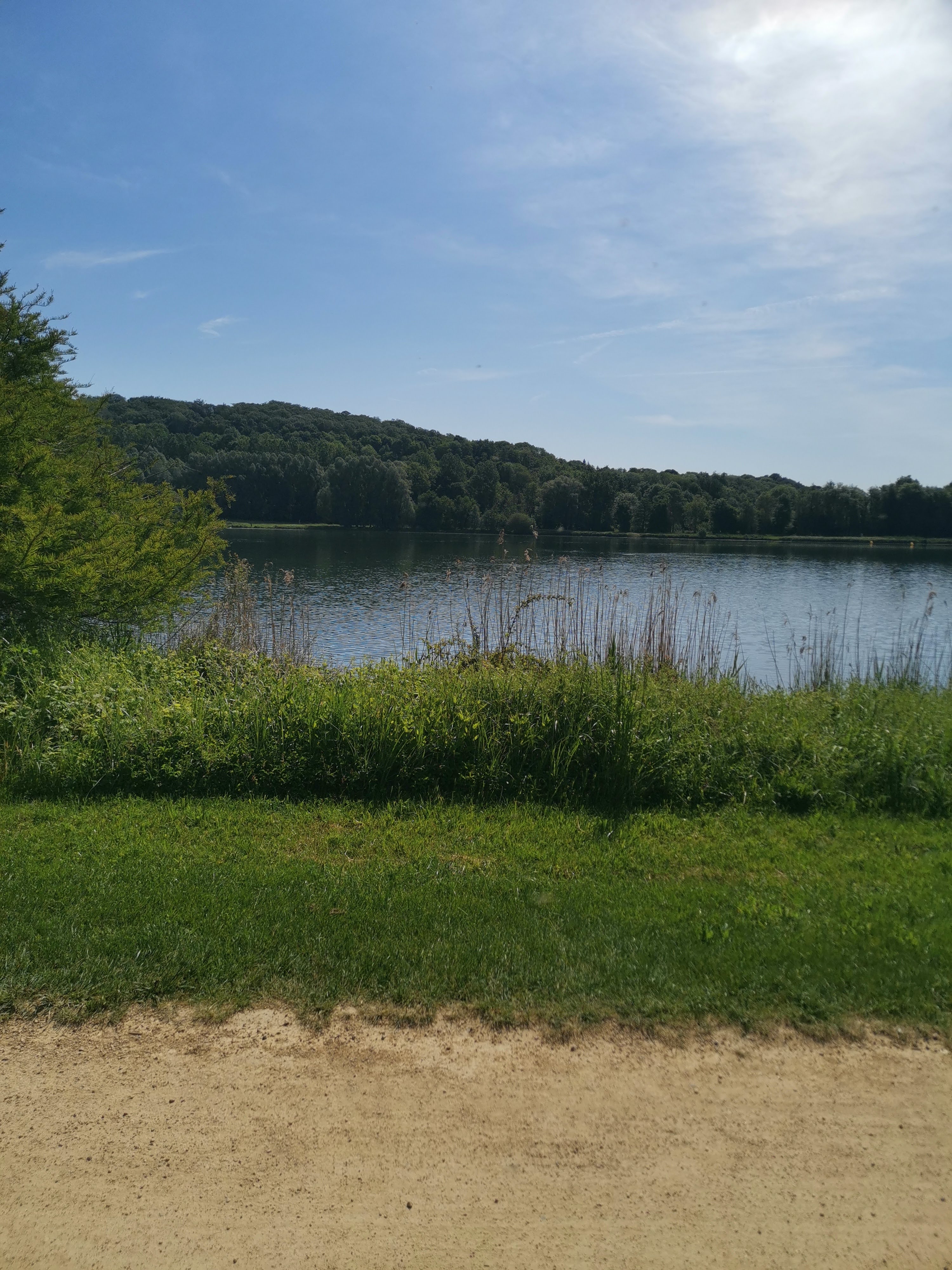 Photo n° 2 de l'avis de Picard.o fait le 13/06/2021 à 07:25