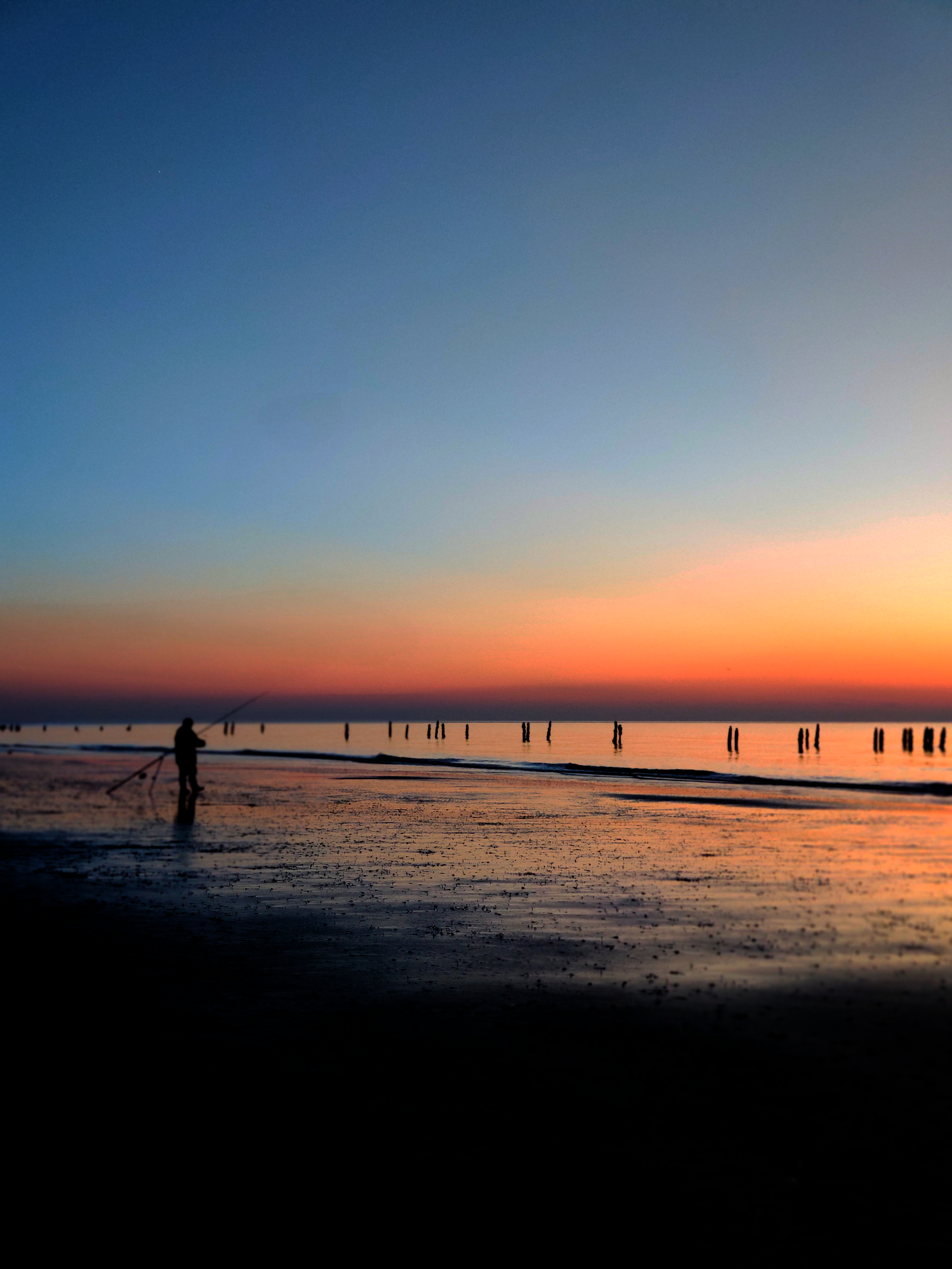 Photo n° 2 de l'avis de Maxime.r fait le 29/11/2020 à 12:55