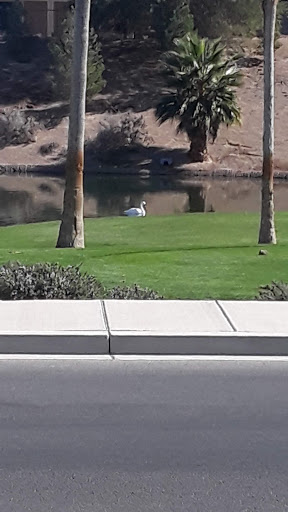 Golf Course «Chimera Golf Club», reviews and photos, 901 Olivia Pkwy, Henderson, NV 89011, USA