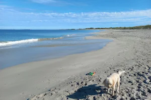 Jervoise Bay Dog Beach image