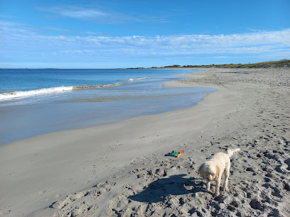 Jervoise Bay Dog Beach