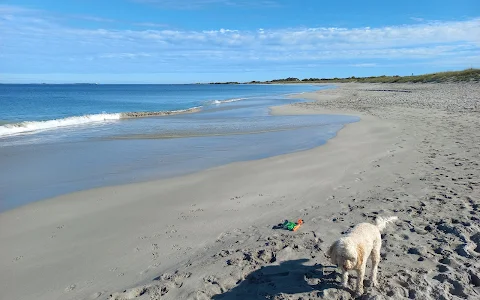 Jervoise Bay Dog Beach image