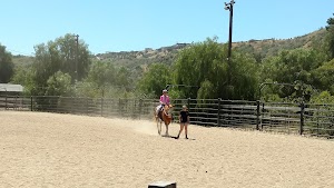 El Rodeo Equestrian Center - photo 95