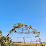 Photo n°4 de l'avis de Daniele.a fait le 18/11/2020 à 10:21 sur le  Ristorante La Ghiacciaia à Pederobba