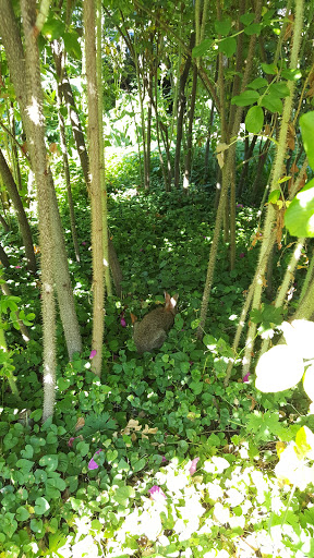 Winery «Edgefield Winery & Tasting Room», reviews and photos, 2126 SW Halsey St, Troutdale, OR 97060, USA