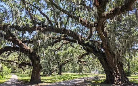 New Orleans City Park image