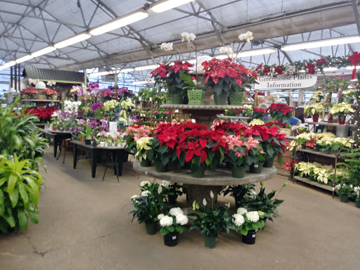 Garden Center «Merrifield Garden Center», reviews and photos, 12101 Lee Hwy, Fairfax, VA 22030, USA