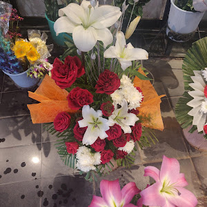 Ferns N Petals : Florist In College Road, Ludhiana photo