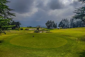 Naldehra Golf Course image